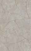 Porcelain Gold Grey