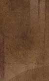 Ultragloss Copperleaf