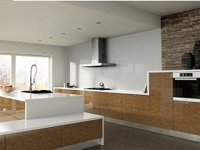 Ultragloss Kitchen in Ultragloss Copperleaf