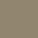 Classic Brown Swatch