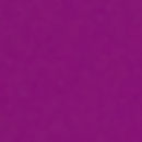 Fuchsia Swatch
