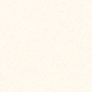 Pearl White Swatch