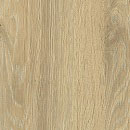 Natural Davos Oak Swatch