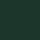 Fir Green Swatch
